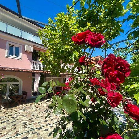 Apartments Tereza Novigrad (Istria) Exterior foto