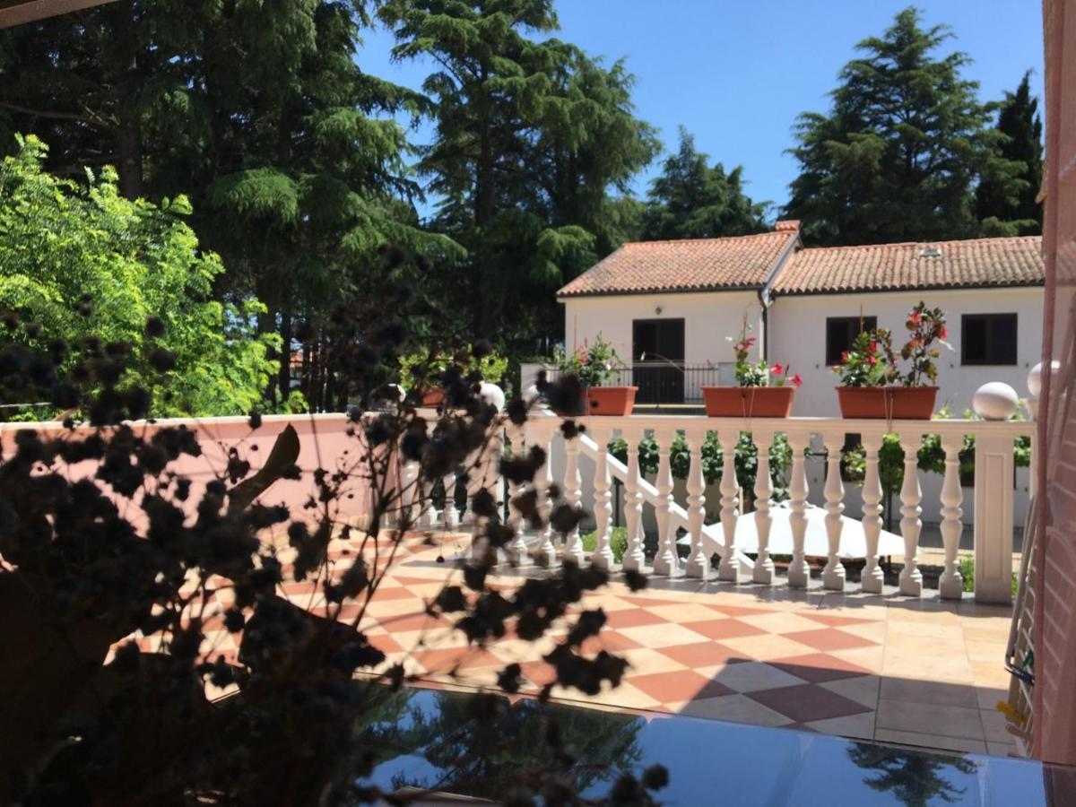 Apartments Tereza Novigrad (Istria) Exterior foto