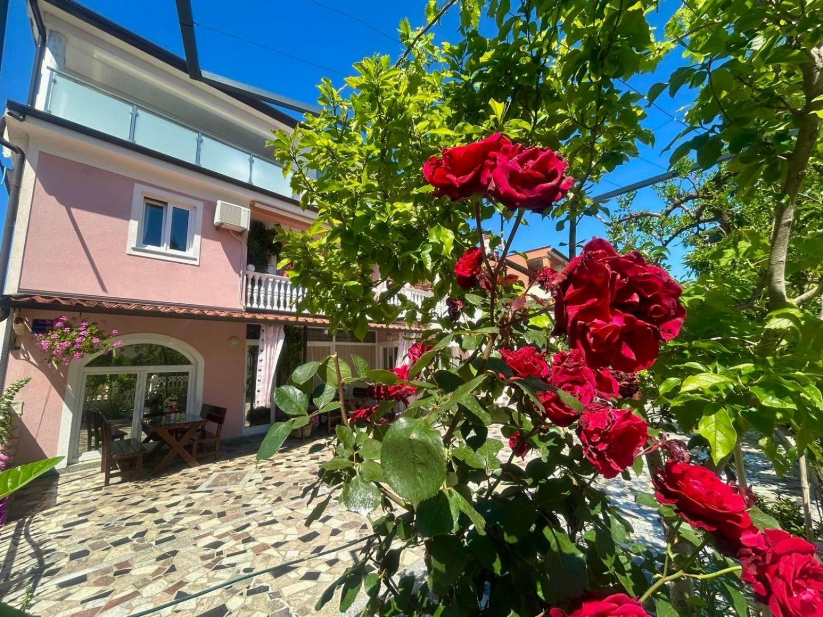 Apartments Tereza Novigrad (Istria) Exterior foto